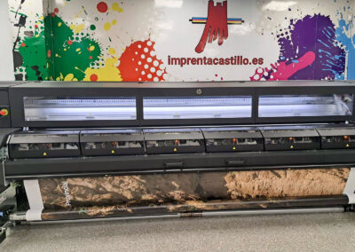 Diputación de Málaga: 10º aniversario del Caminito del Rey. Imprimiendo.